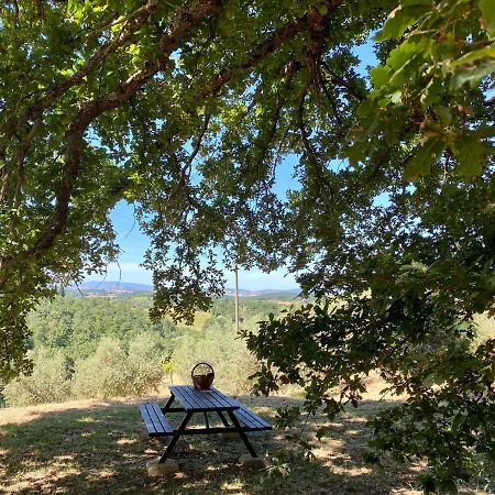 La Casina Della Quercia, Your Tuscan Oak Tree House Osteria Delle Noci Kültér fotó