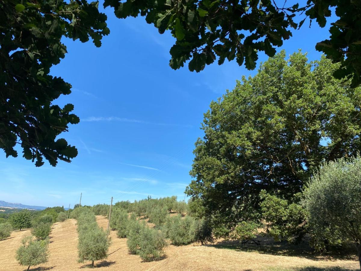 La Casina Della Quercia, Your Tuscan Oak Tree House Osteria Delle Noci Kültér fotó