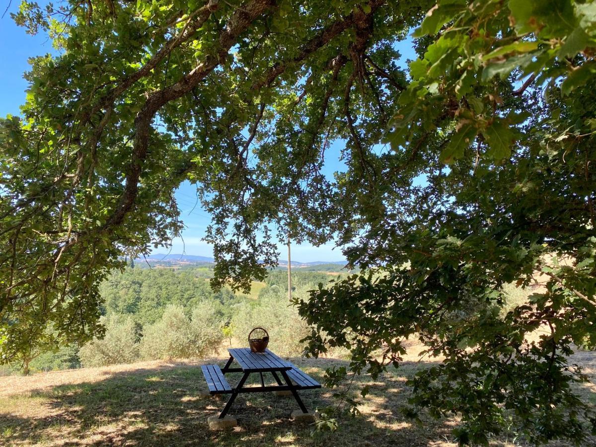La Casina Della Quercia, Your Tuscan Oak Tree House Osteria Delle Noci Kültér fotó